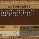 サイドクエストNo.136/カメラ小僧の挑戦状！
